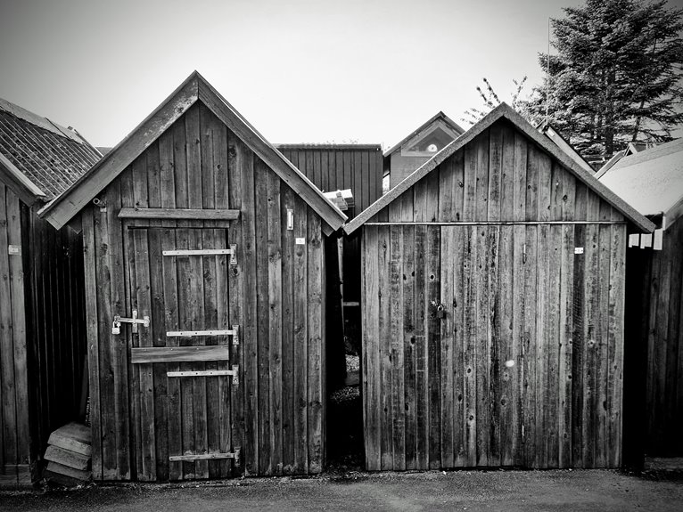 how to choose the shed